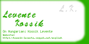 levente kossik business card